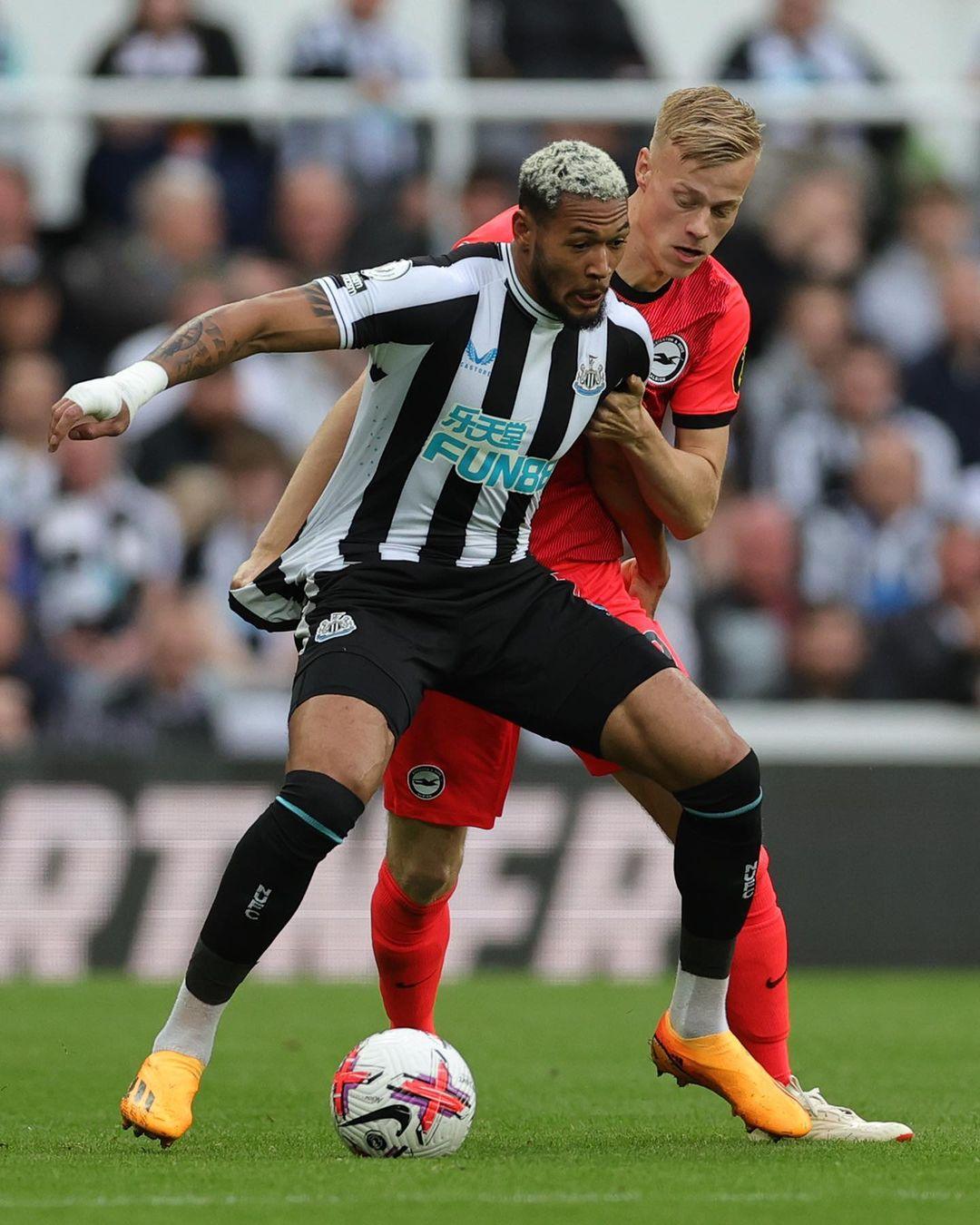 新价格纪录 新价格纪录