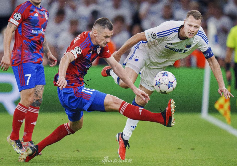 西班牙的足 西班牙的足